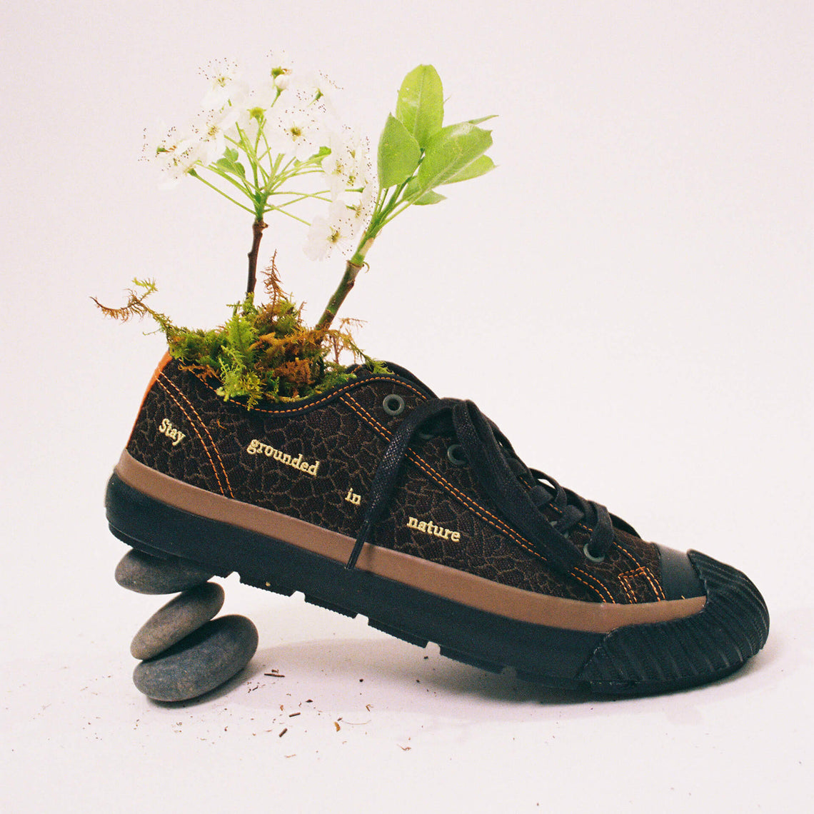 Brown low-top sneaker with plants growing out of it against a white background.